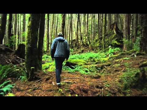 GARY PAULSEN - HATCHET (TRAILER)