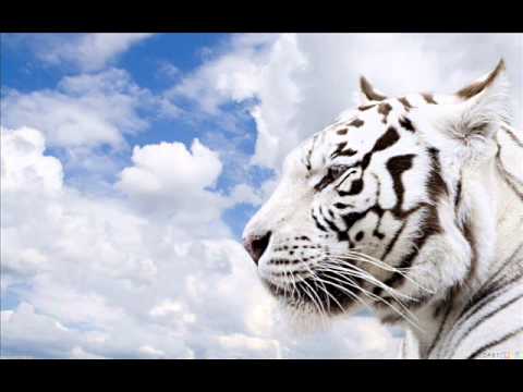 Mt. Eden & Ruby Frost - Oh that i had