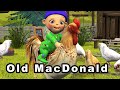 Old MacDonald Had A Farm Song For Children By Studio Çamarroket