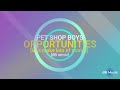 Pet Shop Boys - Opportunities [let's make lots of money] (dB Remix)