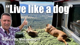 Solo Male Full-time Traveler Advice - 2 Dogs, 1 Man in Airstream Interstate 24X