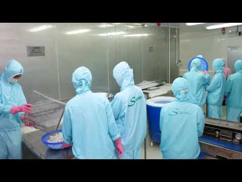 Arico Vietnam - Shrimp Peeling and Freezing