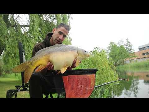 download lagu mp3 mp4 Method Feeder Karper, download lagu Method Feeder Karper gratis, unduh video klip Method Feeder Karper