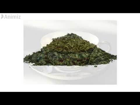 Drops GREEN TEA MOTHER TINCTURE, For Clinical, Non prescription