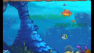 Feeding Frenzy 2 videosu