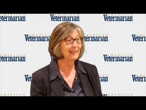 Using Furosemide, Mannitol, Fenoldopam to Treat Kidney Failure