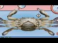 Cooking Mama Wii Raging And Funny Moments