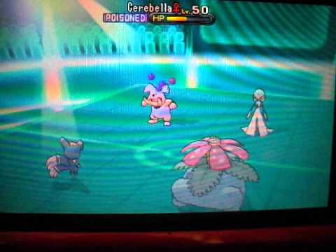 Manchester Pokemon Tournament #6 Round Five - vs RocketRaccoon