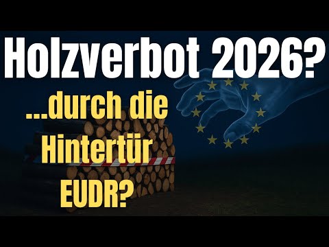 Holzverbot 2026? Was steckt wirklich hinter der EUDR? Was das Gesetz für Brennholz und dich bedeutet
