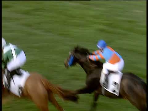 Galoppo 03/12/2019 - 4ª corsa