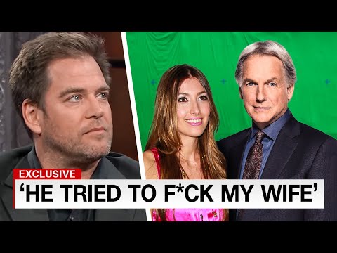Michael Weatherly HATED Working With Mark Harmon On NCIS..
