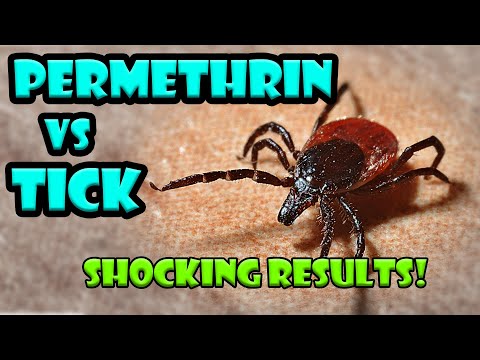 Tick vs Permethrin from Sawyer - Tick Repellent and killer