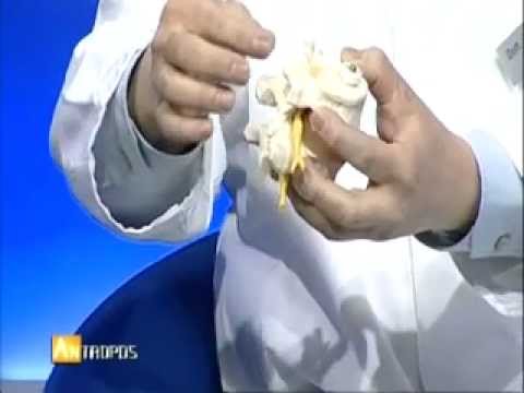 Vertigini, dolore al collo Collo basso curare il mal di schiena