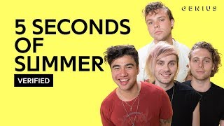 5 Seconds of Summer &quot;Valentine&quot; Official Lyrics &amp; Meaning | Verified