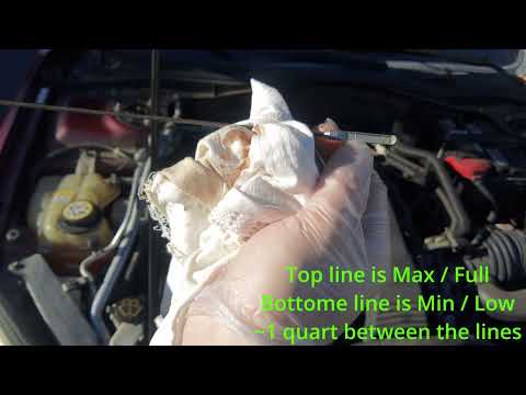 How to Check Engine Oil on a Ford Fusion (2006 - 2012, 2007 shown)