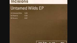 Incisions - Munene (2000)