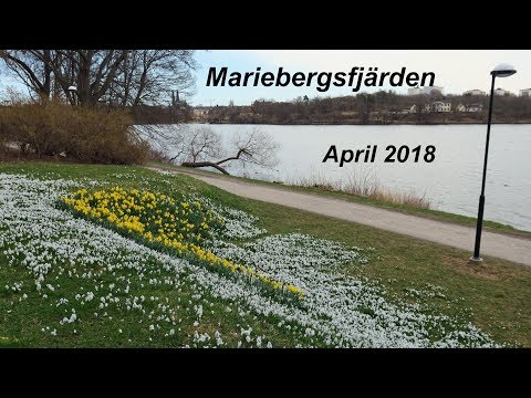 Mariebergsfjärden 2018 4K