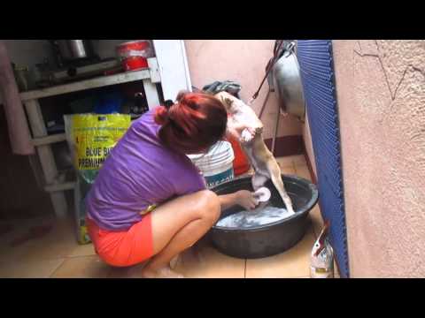 Tips Margarita queen tungkol sa pagkawala ng timbang Kung paano mawalan ng isang batang babae ng 15 kg