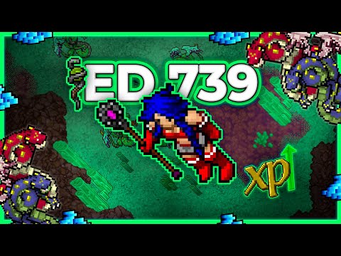 ED 739 Hunt Solo Salt Caves 1.4kk Profit/h - Tibia Hunt [12.90] #tibia #tibiahunt #hunts