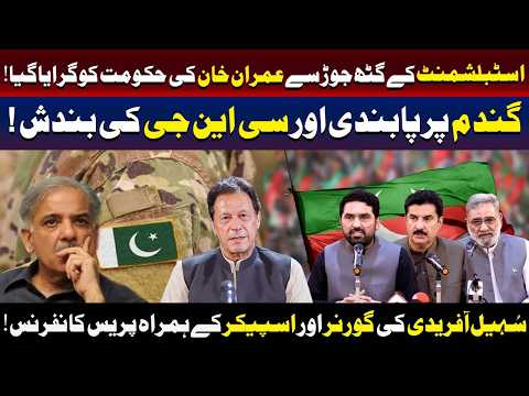 عمران خان کی حکومت اسٹیبلشمنٹ گٹھ جوڑ سے گرائی گئی: سہیل آفریدی 