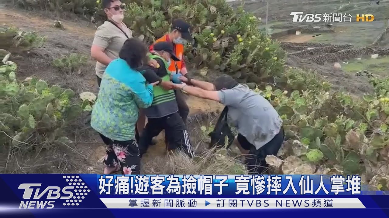 好痛!遊客為撿帽子 竟慘摔入仙人掌堆