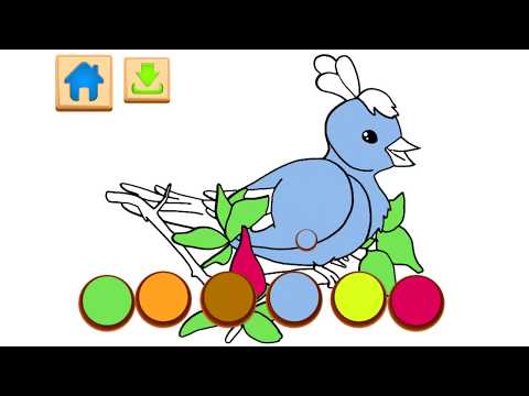 Libri im ngjyroses Video