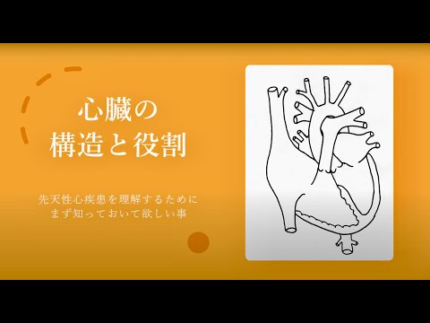 ヴェットシュタインの分類 - 定義