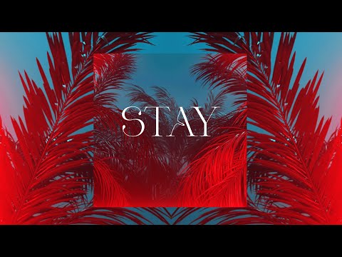 DJ Rapture ft. Singah - Stay (Lyric Video)