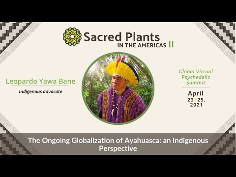 The Ongoing Globalization of Ayahuasca: an Indigenous Perspective | Sacred Plants II