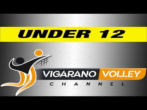 Volley Vigarano - Linea Import