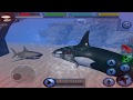 Orca The Killer Whale VS Shark Blue Whale Ultimate Ocean Simulator