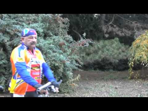 Wiener G´sichter - Wien, anders gesehen!