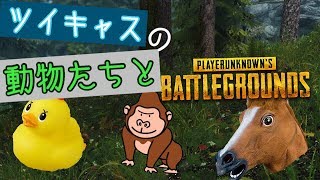 『まるで動物園！？』動物たちとPUBG ＃1