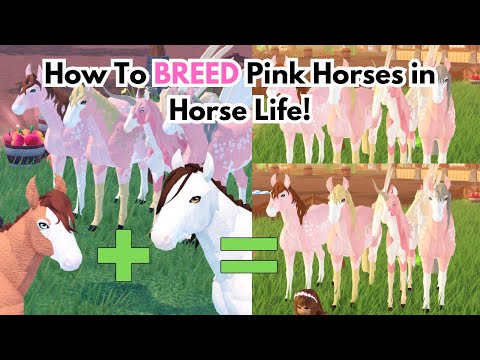 How To Breed PINK Colors in Horse Life! Updated for New Players