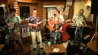 Mean Mother Blues/Old Train(Seldom scenecover)