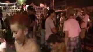 The Lively Ones  - The Happy Gremmie