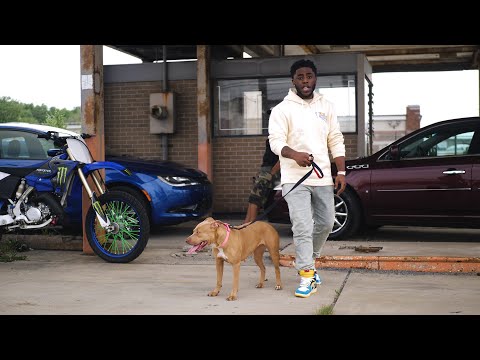 Video thumbnail ZNIGb0PGTL0