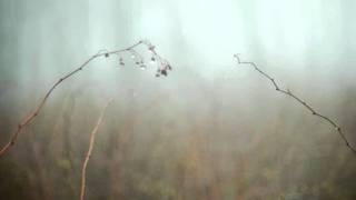 Mount Kimbie - Adriatic (Klaus mix) -- cut