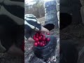 Perfect Paintball Reload