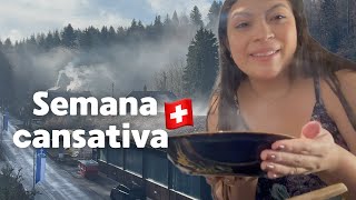 PREPARANDO O JANTAR  APÓS UMA LONGA SEMANA NA SUÍÇA🇨🇭 