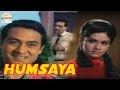 Humsaya 1968 Full Movie हमसाया Joy Mukherjee Sharmila Tagore
