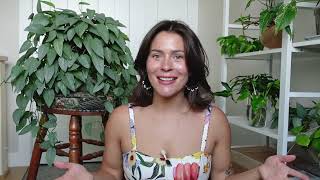 How I get my houseplants to bloom 