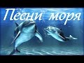 1 Hr - Пение Дельфинов и Звуки Океана / Dolphins and Ocean Sounds 