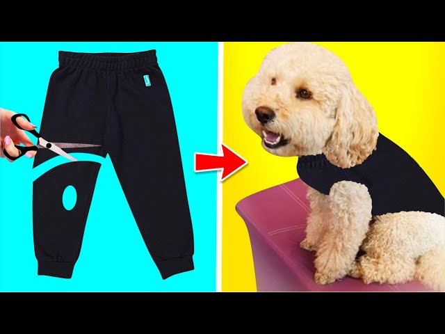 Vídeo relacionado con CuteBone Pijama para Perro, Ropa para Perro, Mono, Ropa para Mascotas, Pijamas, Abrigo de Navidad