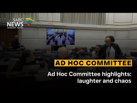 AD HOC Committee | Ad Hoc Committee highlights: laughter and chaos