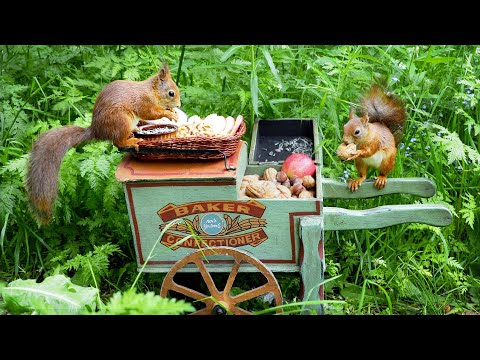 Hand Cart Bird Feeder - Relax With Squirrels & Birds ( 1 Hour+ )