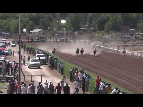Décima quinta carrera, distancia 400 metros: 1) MARA (Pichimil – Gral. Roca).  2) COMANDANTE