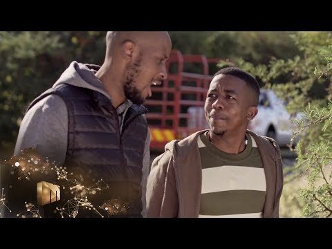 Finding the cattle thief – The Throne | Mzansi Magic