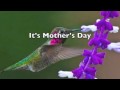 MOTHERS DAY POEM - YouTube