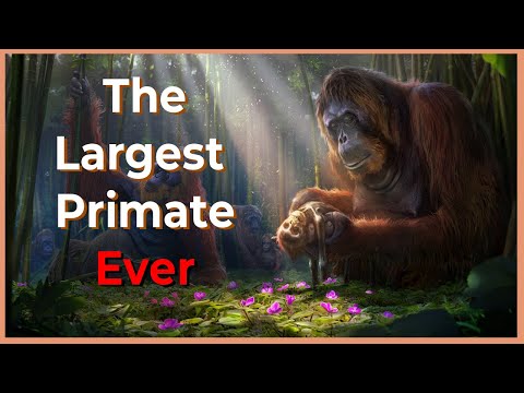 Gigantopithecus - History's Greatest Ape